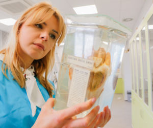 Wydział Biotechnologii i Hodowli Zwierząt