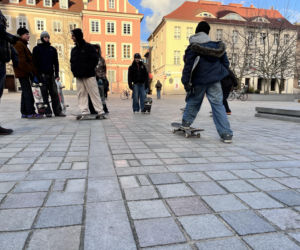 pikieta skatepark poznan