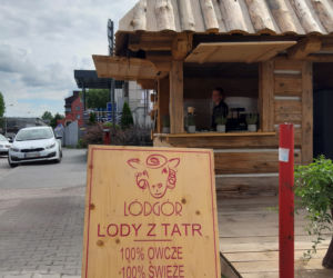 Lody z owczego mleka w Nowym Targu