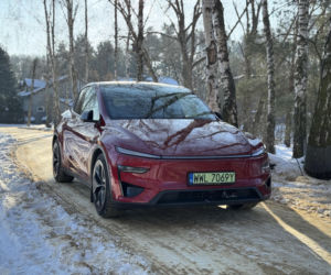 Model Y (Performance)