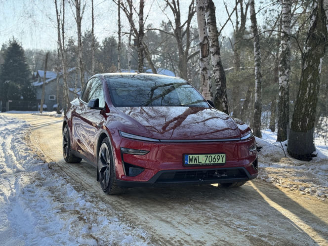 Model Y (Performance)