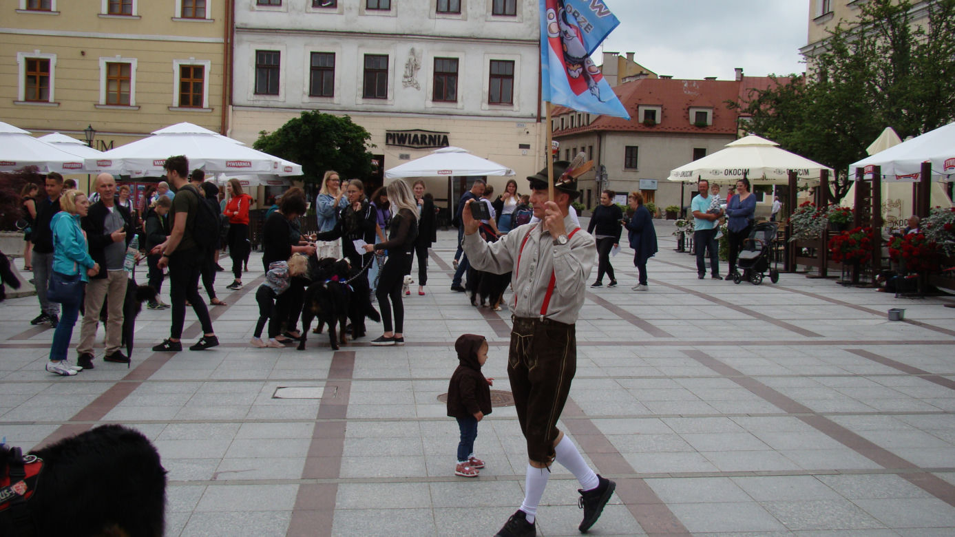 Tarnów w Tricolorze - Zjazd Berneńczyków