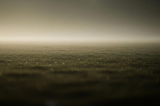 Tajemnica żołnierza z Legionowa. Co zabiło porucznika na bagnach?