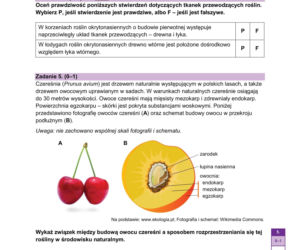 Próbna matura 2026 z biologii: Arkusze CKE, pytania i sugerowane odpowiedzi [14.01.2026]