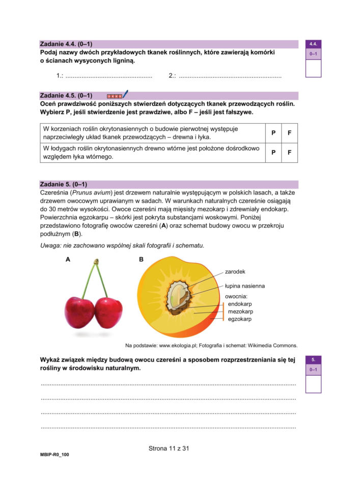 Próbna matura 2026 z biologii: Arkusze CKE, pytania i sugerowane odpowiedzi [14.01.2026]