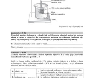 Matura 2018 z biologii [ARKUSZE CKE, ODPOWIEDZI]