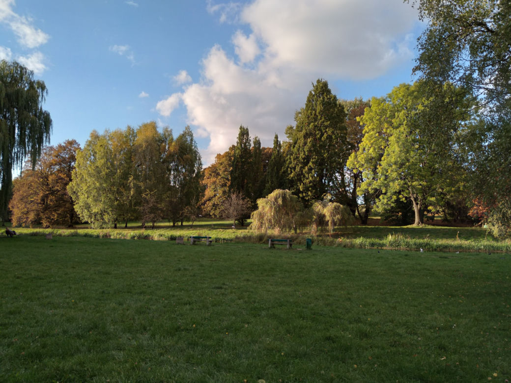 Park Skaryszewski