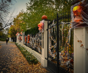 Gdańsk: Dom jak z horroru. Udekorowali budynek na helloween [ZDJĘCIA]