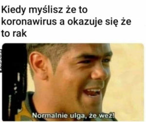 Koronawirus dotarł do Polski. Jest pierwszy przypadek. Zobacz najlepsze memy