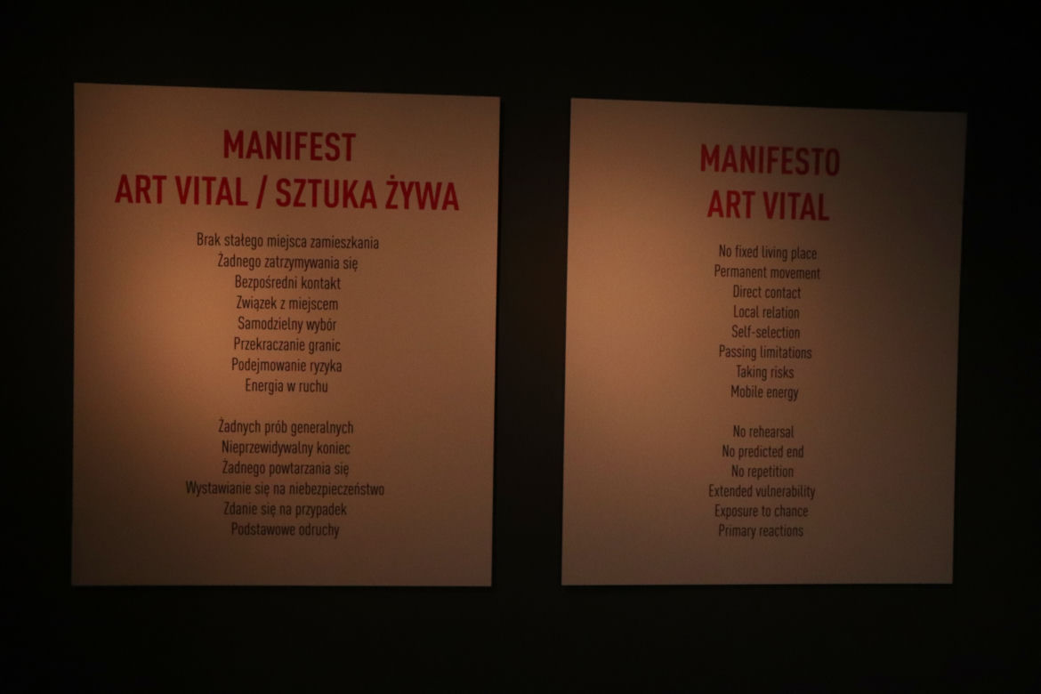 Marina Abramović i "The Cleaner - Do czysta"