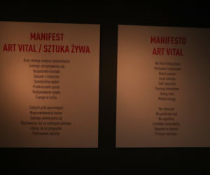Marina Abramović i The Cleaner - Do czysta