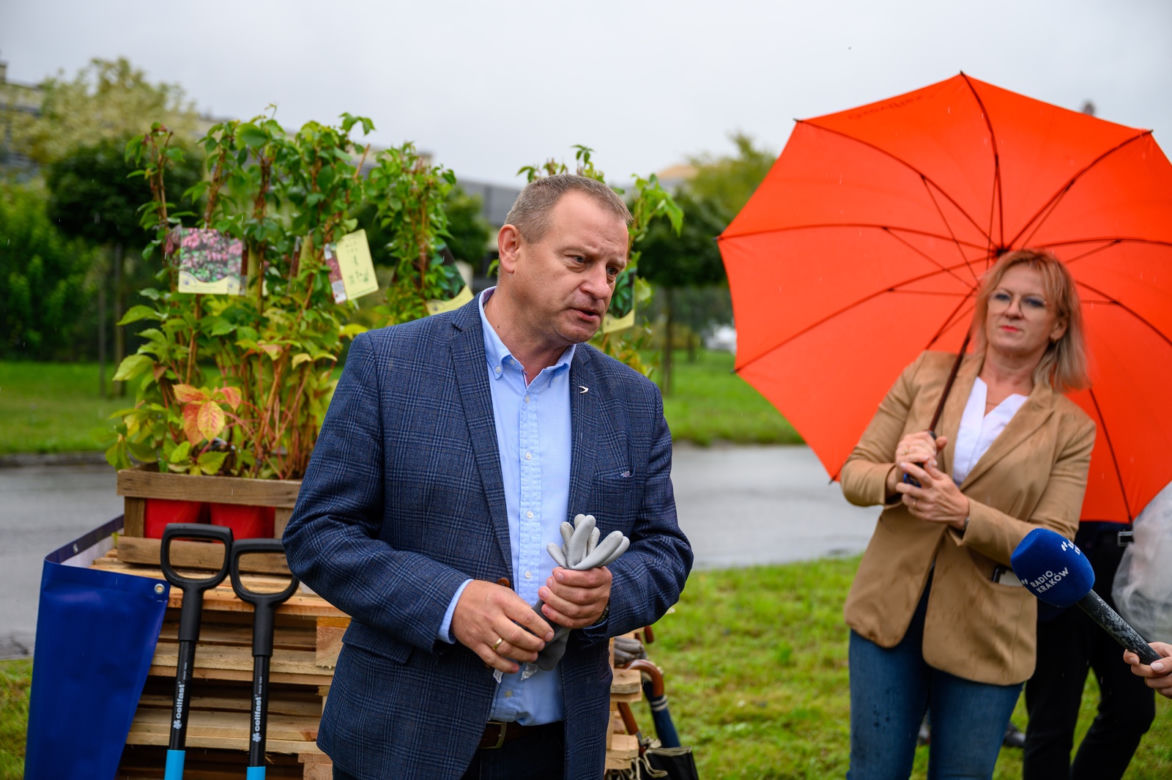 Zielone ogrodzenie przy płocie okalającym Grupę Azoty w Tarnowie