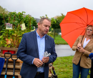 Zielone ogrodzenie przy płocie okalającym Grupę Azoty w Tarnowie