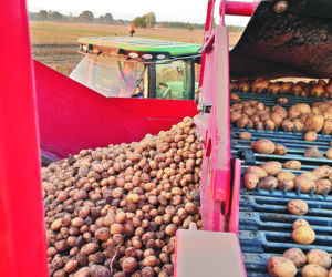 Agro - CN Nidzica