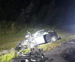Jeleń doprowadził do tragedii w Małopolsce