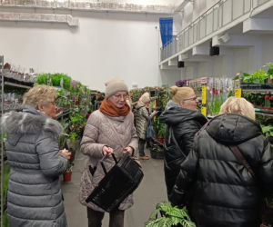 Festiwal Roślin w Enea Arenie