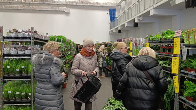 Festiwal Roślin w Enea Arenie