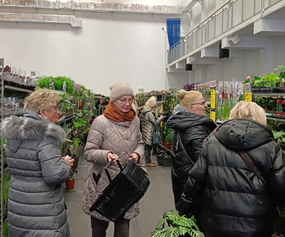 Enea Arena utonęła w zieleni! Tłumy na Festiwalu Roślin
