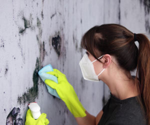 Zawilgocona piwnica w bloku? Jak osuszyć ściany i uniknąć grzyba na ścianie?