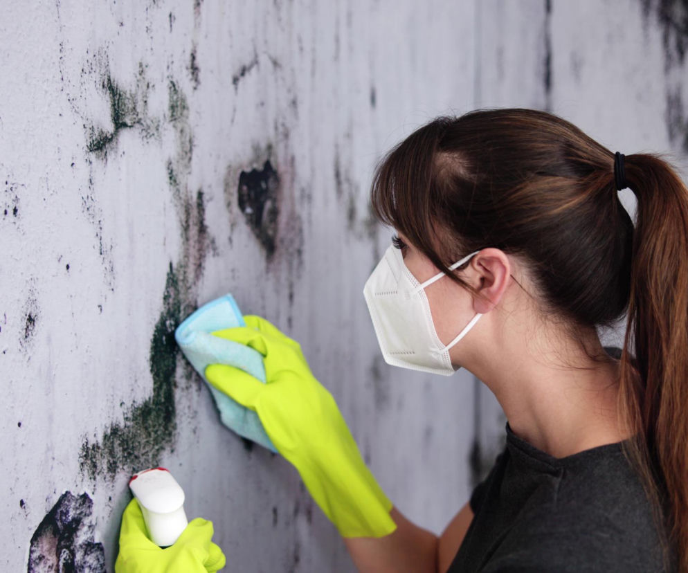 Zawilgocona piwnica w bloku? Jak osuszyć ściany i uniknąć grzyba na ścianie?