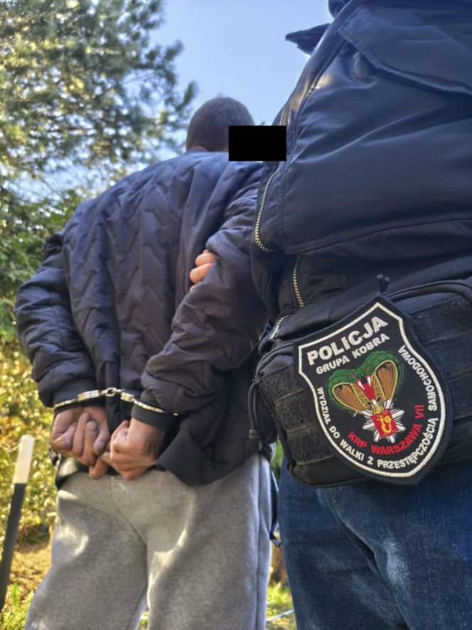 20 zarzutów za paserstwo. Rozbierali auta pod Wołominem. "Kobra" likwiduje samochodową dziuplę!