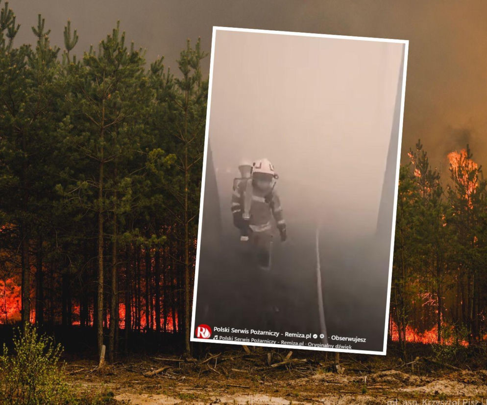 Uciekamy!. Nagranie ze środka pożaru w Lubelskim przeraża