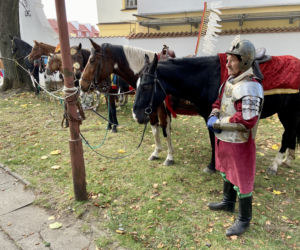 Wielka Parada Branickich w Białymstoku. Przejazd husarii. Relacja na żywo