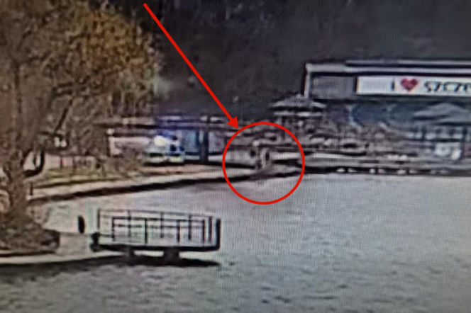 Chciał uniknąć mandatu i wskoczył do jeziora. Policyjny pościg za nastolatkiem zakończył się w wodzie