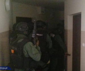 24 osoby zatrzymane przez CBŚP