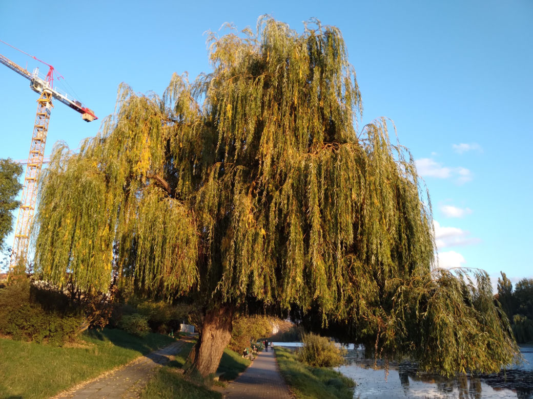 Park Skaryszewski