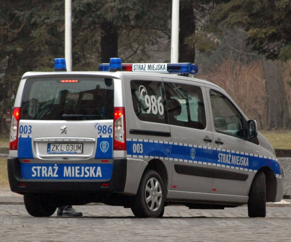 Straż miejska w Łodzi