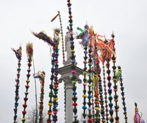 35 metrów i 80 centymetrów liczy palma, która zwyciężyła tegoroczny konkurs palm w Lipnicy Murowanej