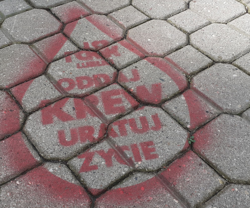 Oddaj krew i otrzymaj choinkę. W środę odbędzie się akcja Od serca na święta 