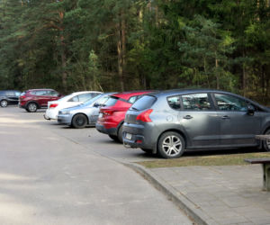 Parking leśny w Ogrodniczkach pod Białymstokiem
