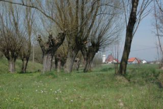 Wiosną widać więcej. Planujesz kupno nieruchomości to tylko teraz - lepszego okresu nie będzie. Wczesna wiosna ujawni wady działki