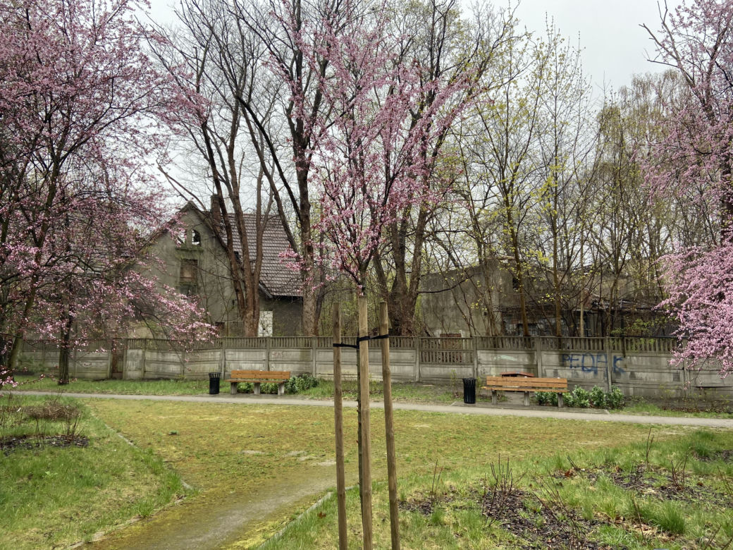 Srebrzyńska 77 na Osiedlu Montwiłła-Mireckiego w Łodzi