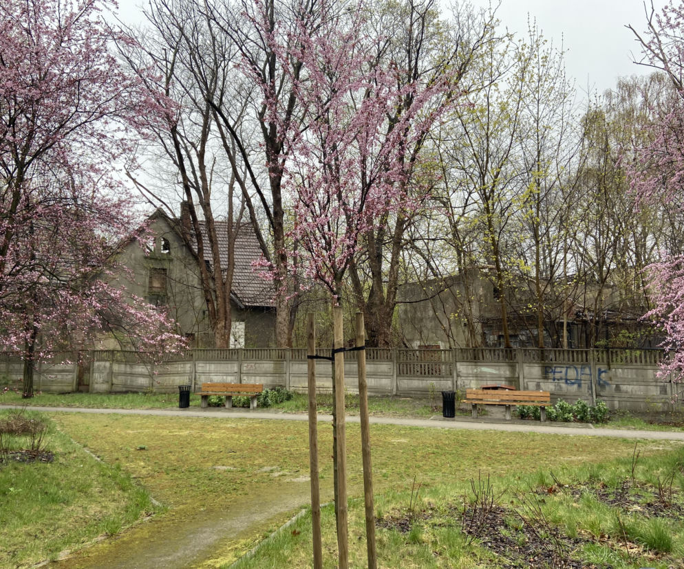 Srebrzyńska 77 na Osiedlu Montwiłła-Mireckiego w Łodzi