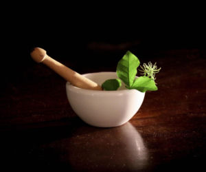 Zioła z naszych łąk i lasów. Ostrzeszowianka pokazuje, jak je wykorzystać [POSŁUCHAJ]