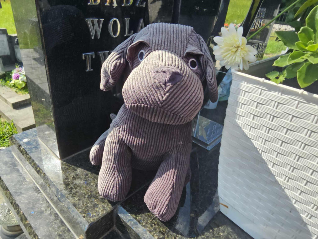 Tragiczny wypadek w Wylewie. Grób młodego siatkarza i jego rodzeństwa [GALERIA]
