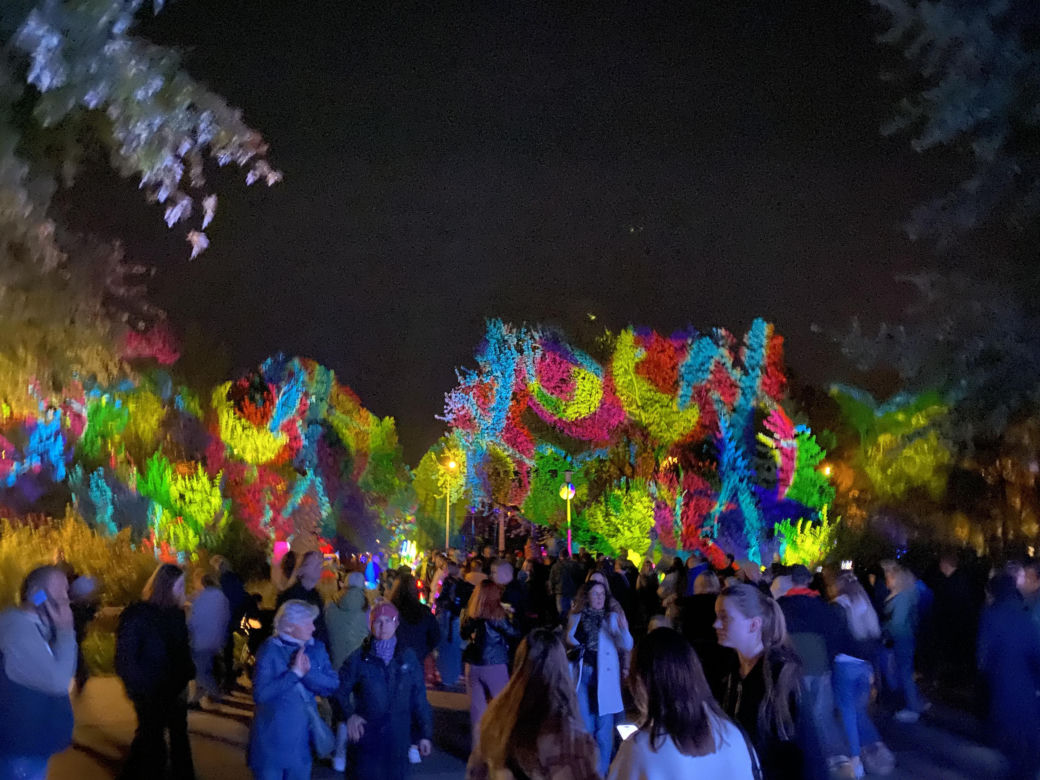 Light Move Festival 2025