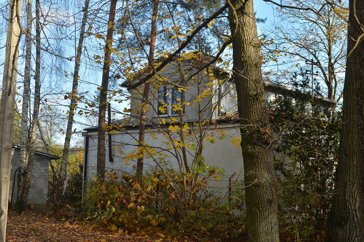 Morderstwo w Zalesiu