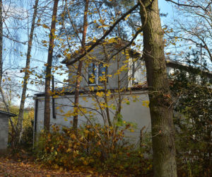 Morderstwo w Zalesiu