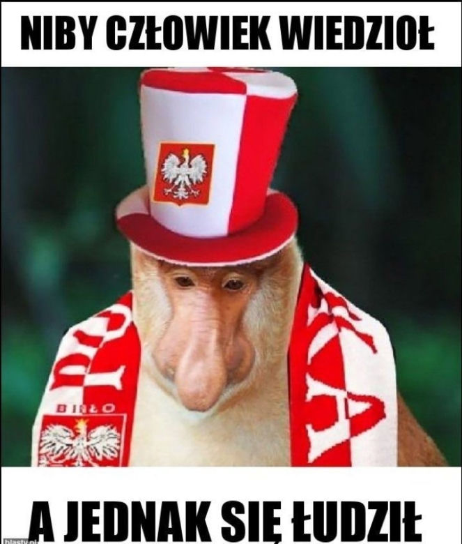 Polska - Francja MEMY