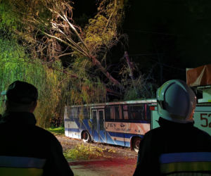 Wichura powaliła drzewo na autobus
