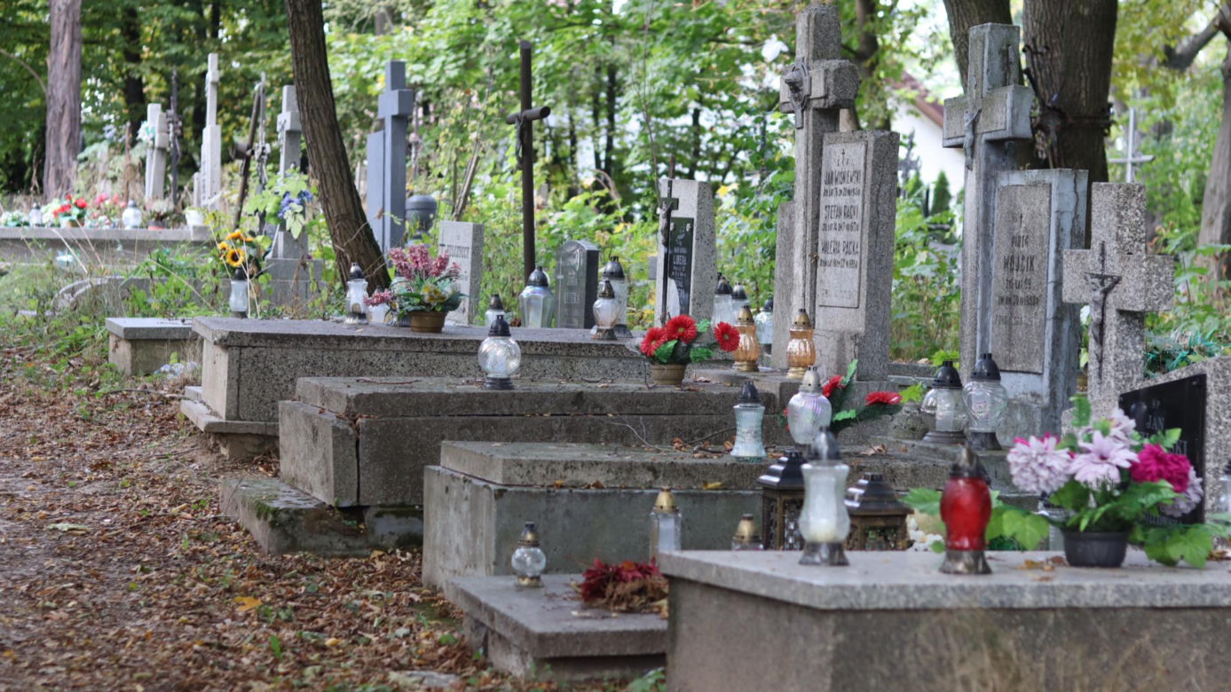 Lubelski cmentarz ukryty wśród drzew. Pochowani tu są mariawici. Zobacz