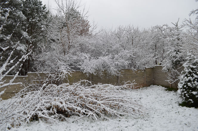 Zima Starachowice 29.11.2020