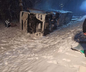 Dukt. 35 świń zginęło w męczarniach! Przygniotły się nawzajem po wypadku MAN-a [ZDJĘCIA]