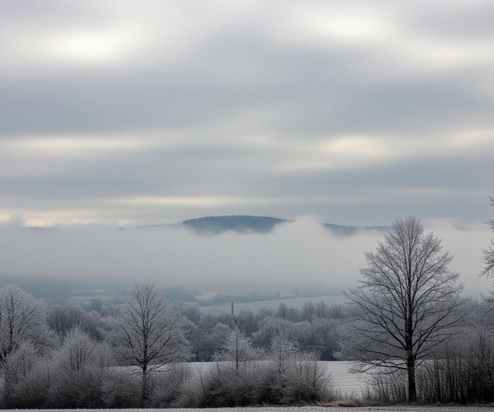 Ponad szerokim, zasypanym śniegiem polem, wznoszą się bezlistne drzewa i krzewy pokryte szronem, tworząc białe akcenty. W tle widoczne są pagórki i zalesione tereny, częściowo ukryte w gęstej, szarej mgle. Niebo jest zasnute grubymi, szarymi chmurami, które dodają scenerii posępnego, zimowego charakteru.