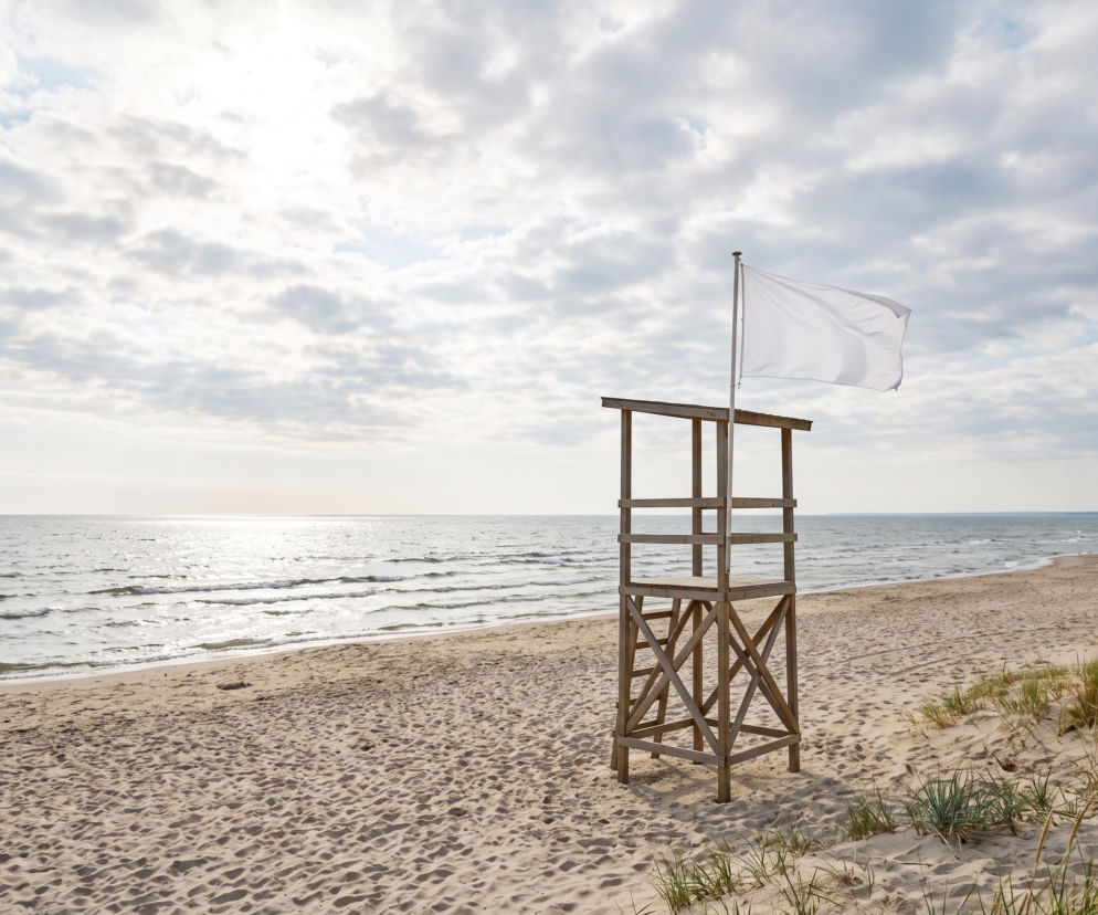 Sinice Gdynia. Czy w Gdyni można się kąpać 28.08? Flaga, warunki pogodowe
