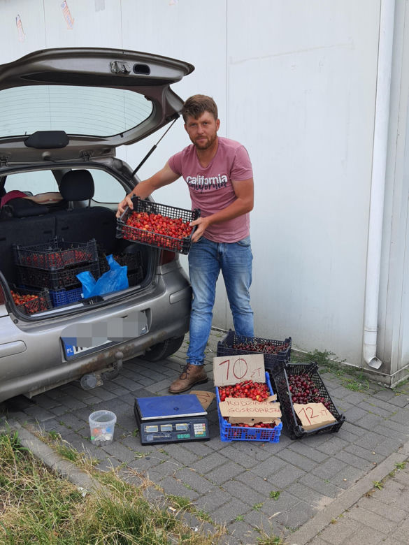 Jatka na warszawskim bazarze. Pobili mnie bo sprzedawałem czereśnie